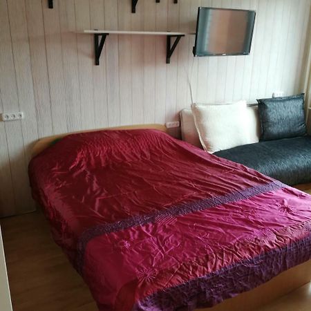 Flat, 1 Room, Study Panevėžys Zewnętrze zdjęcie