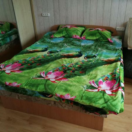 Flat, 1 Room, Study Panevėžys Zewnętrze zdjęcie