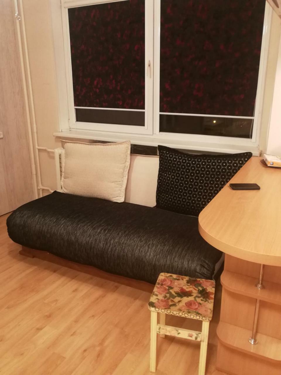 Flat, 1 Room, Study Panevėžys Zewnętrze zdjęcie