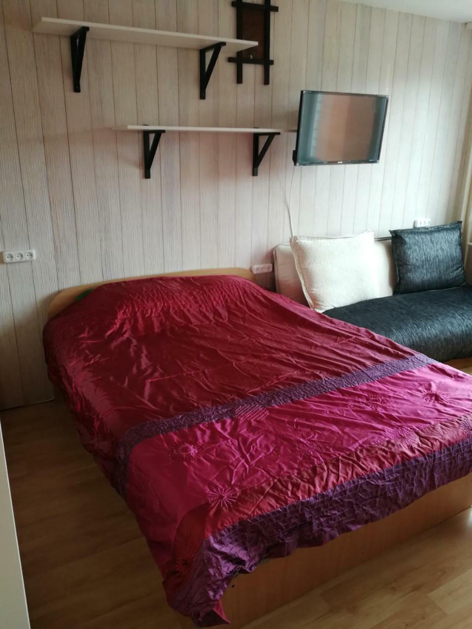 Flat, 1 Room, Study Panevėžys Zewnętrze zdjęcie