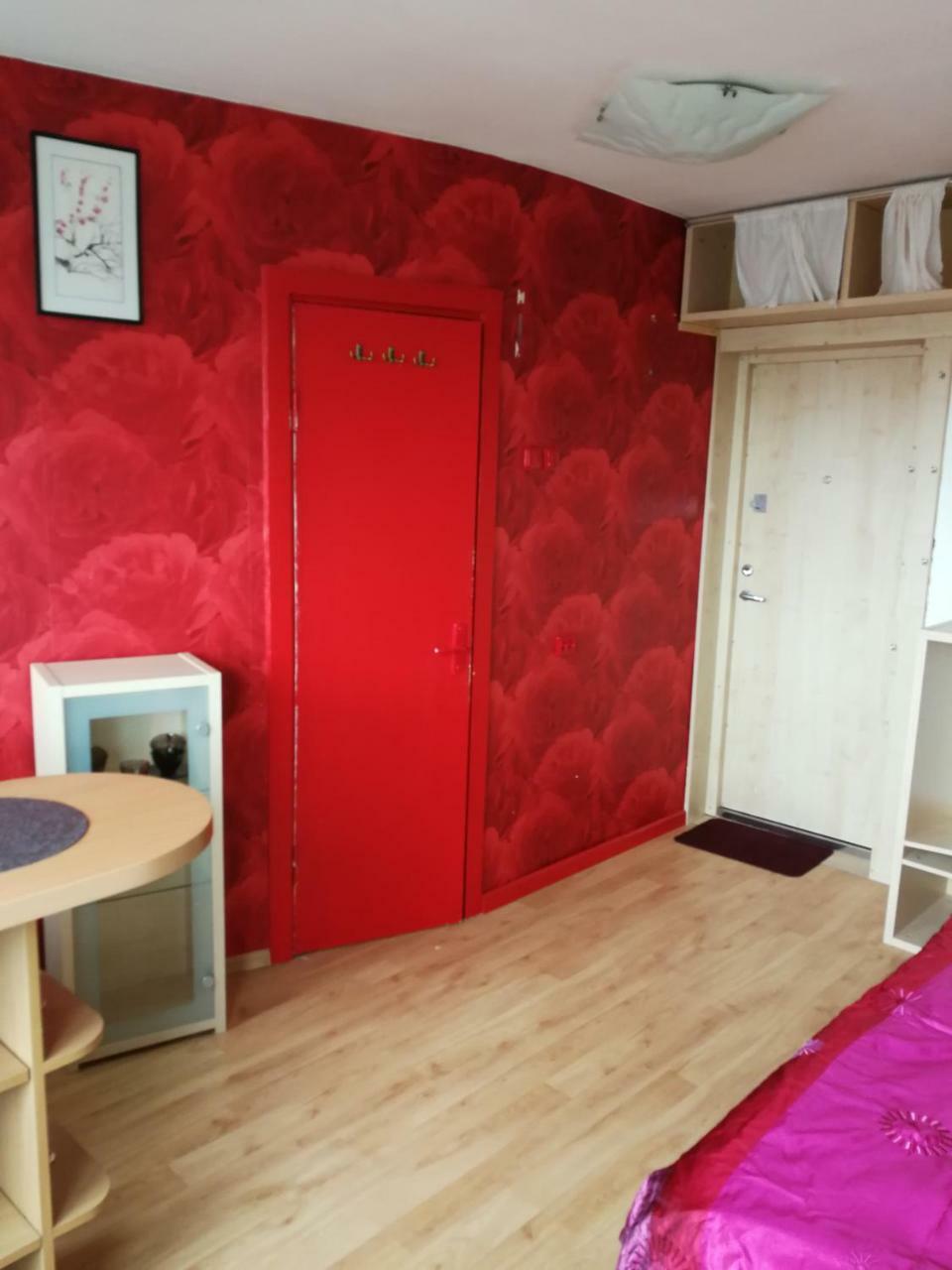 Flat, 1 Room, Study Panevėžys Zewnętrze zdjęcie